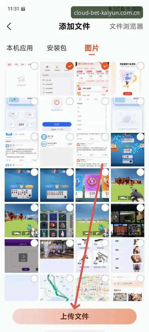 **开云线上买球2026新版APP实用升级指南：登录修复与全端适配技巧**